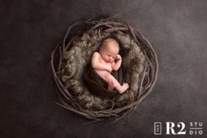 newborn photographer in flagstaff