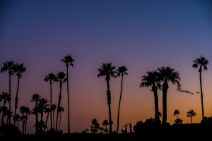 McCormick Ranch Scottsdale Wedding