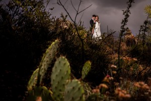 Phoenix Arizona Wedding Photo