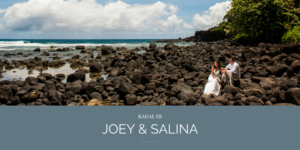 kauai and hawaii wedding photographer specializing in Hawaii intimate weddings